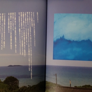 スープカレーとソフトクリーム