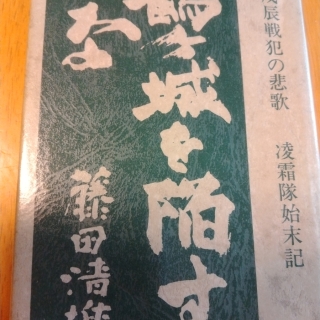 鶴ヶ城を陥すな 凌霜隊始末記