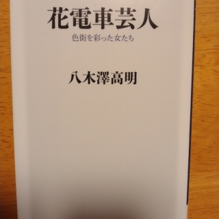 花電車芸人 色街を彩った女たち