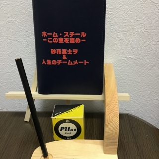 「ホーム・スチール ~この空を盗め~」