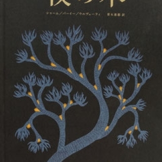 夜の木