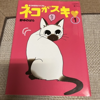 ネコがスキ❤️ 野中のばら