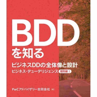 BDDを知る ビジネスDDの全体像と設計【個別編Ⅰ】