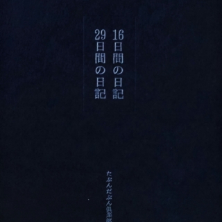 16日間の日記、29日間の日記