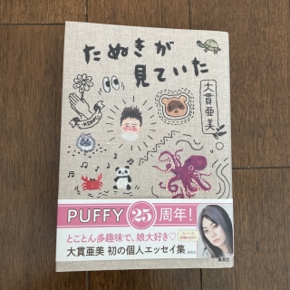 たぬきが見ていた