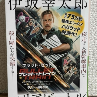 マリアビートル