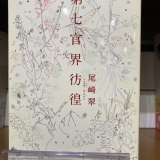 第七官界彷徨
