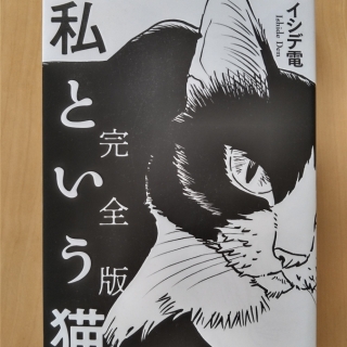 私という猫