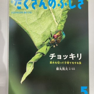 たくさんのふしぎ チョッキリ