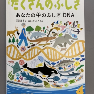 たくさんのふしぎ あなたの中のふしぎDNA