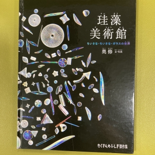珪藻美術館