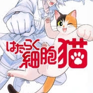 はたらく細胞 猫 2