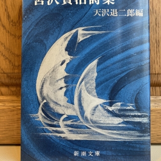 新編宮沢賢治詩集 天沢退二郎編