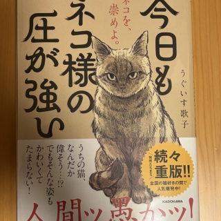 今日もネコ様の圧が強い