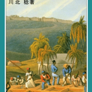 砂糖の世界史(岩波ジュニア新書 276)