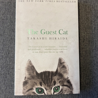 The Guest Cat