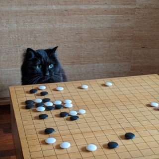 猫と積読