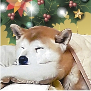 文学画廊カール君