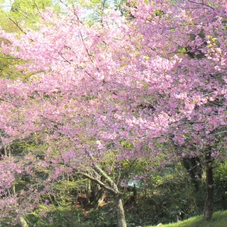 素敵な偶然は、本棚から。